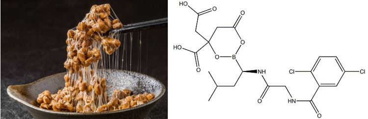 Nattokinase