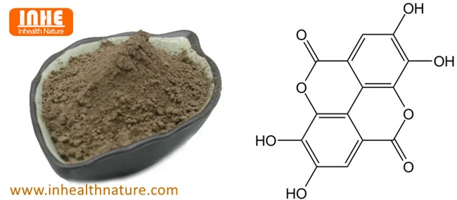 Ellagic acid powder and Molecular Structure