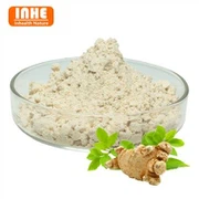 Panax Notoginseng Extract Powder