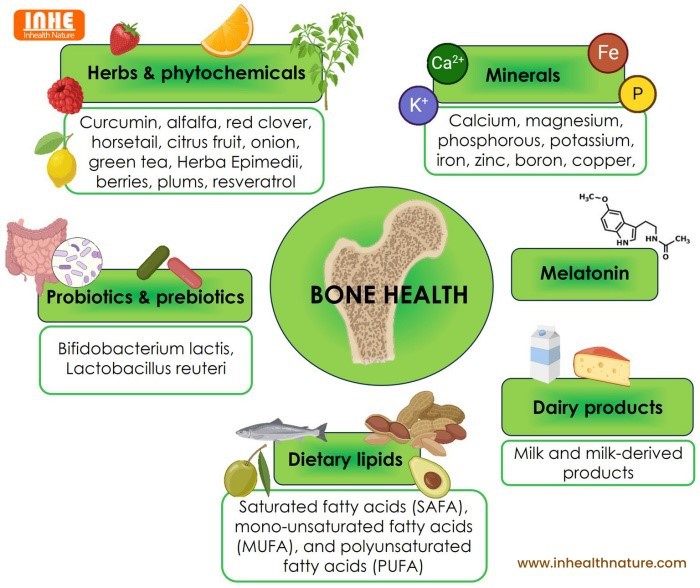 Neutraceuticals in Bone Health