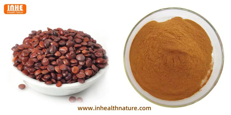Jujube Seeds and Jujube Seed Extract