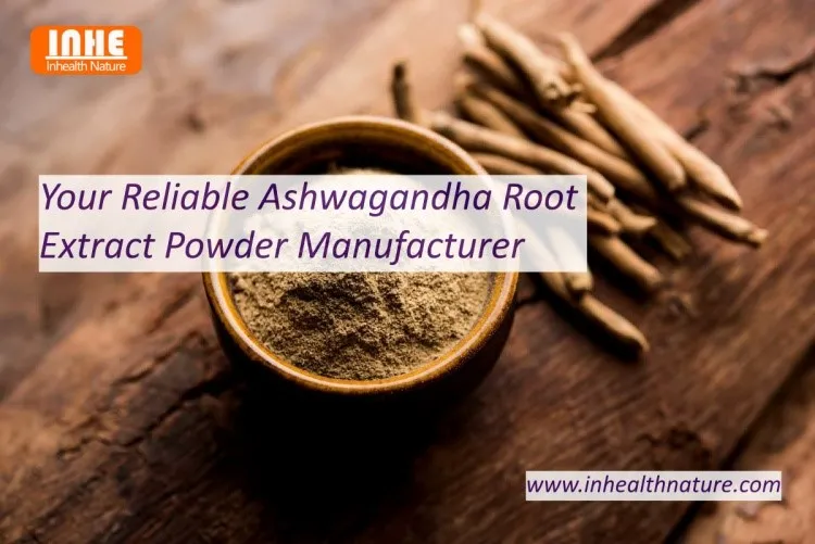 Your Reliable Ashwagandha Root Extract Powder Manufacturer