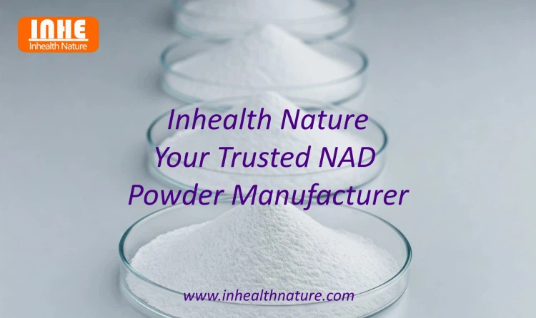 Inhealth Nature Your Trusted NAD Powder Manufacturer