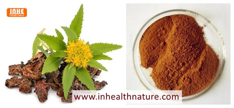 Rhodiola Rosea L Root and 3 Rosavin