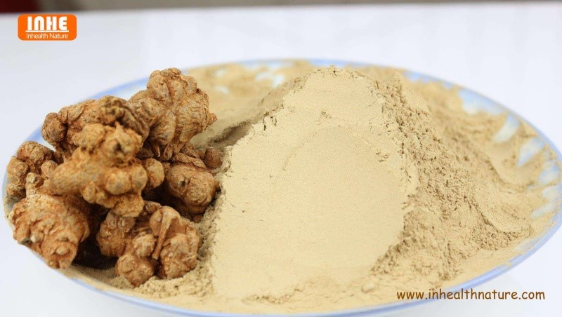 Panax Notoginseng Extract